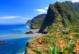 Madeira: Avistamiento de ballenas y senderismo