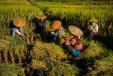 Yunnan: etnias y paisajes