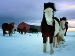 Escapada a Islandia y auroras boreales - Otoño / invierno 2018