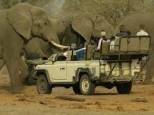 Safari en Botswana