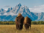 Las Rocky Mountains y Yellowstone: Fly & drive inédito Costa Oeste USA