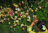 Indonesia Aventura: Java, Sulawesi, Bali, Komodo y Lombok