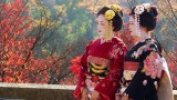 Japon: Sakura y festival Hanami- Especial Semana Santa