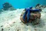 Islas del Pacífico: paraísos terrenales