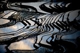 Yunnan: etnias y paisajes