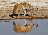Viajar a Botswana especial Semana Santa: desierto y agua