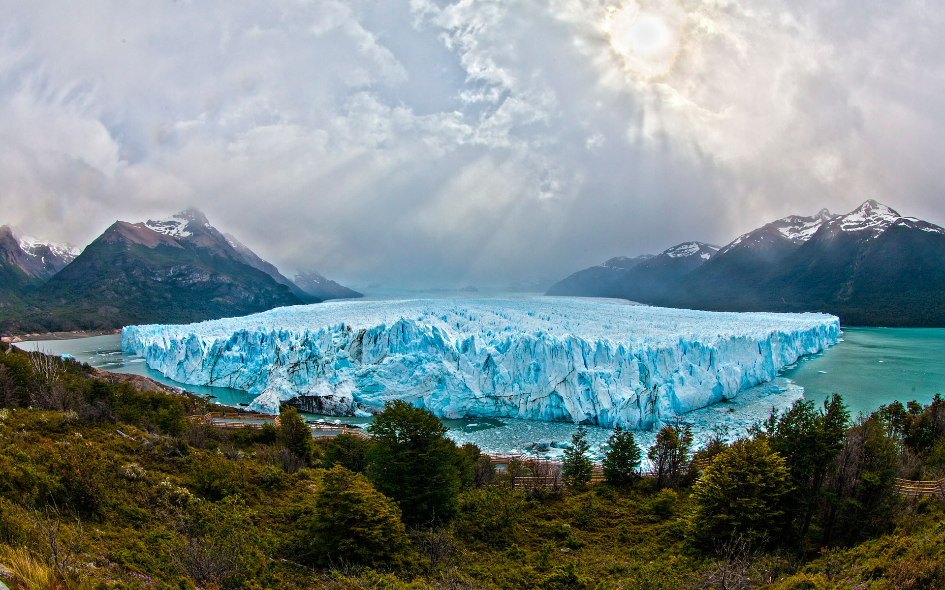 Patagonia Full Zip Better Sweater (women's) - Glacier National
